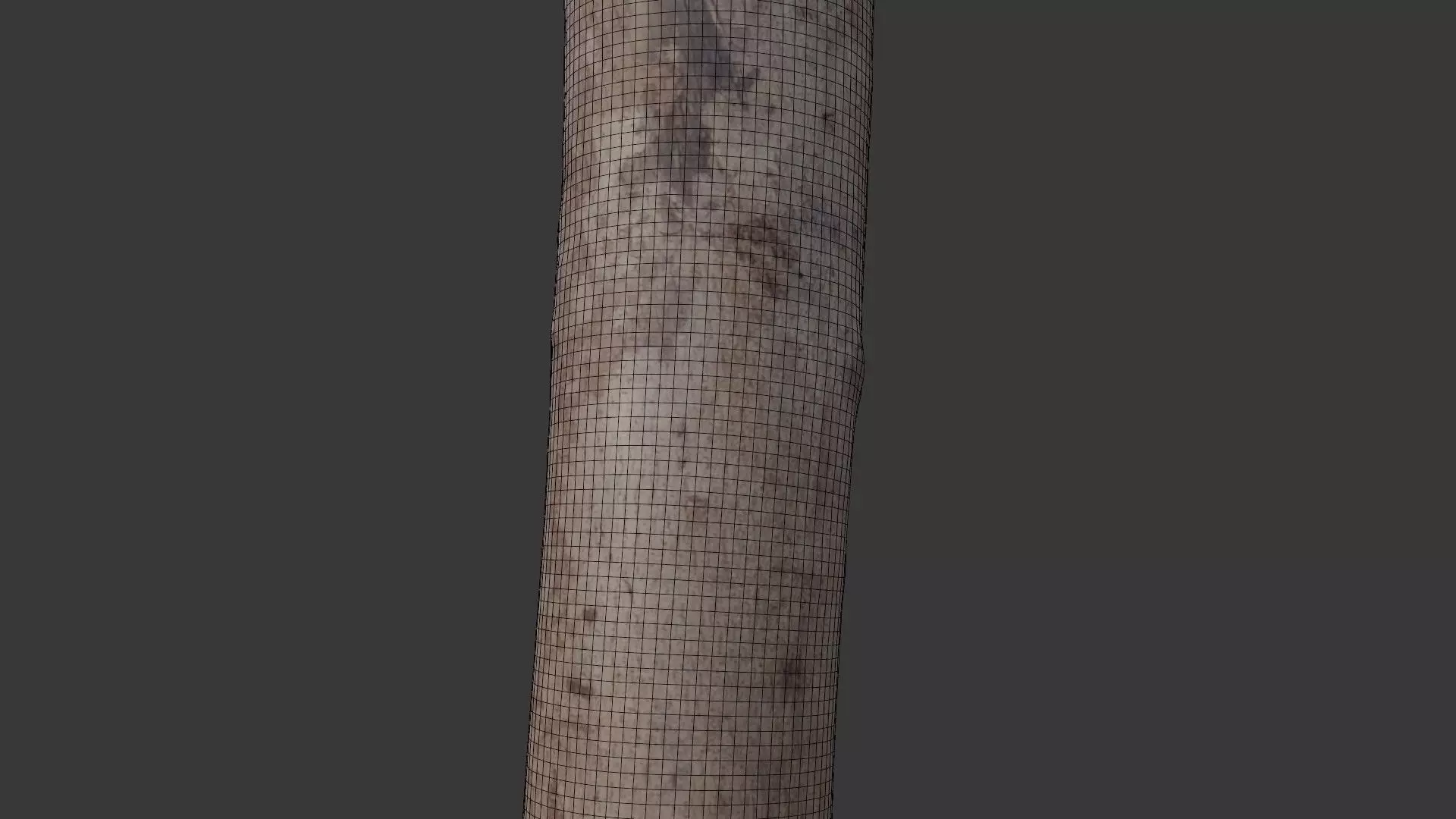 Wooden Fence Post Scan Low-poly 3D model_5