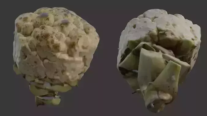  Cauliflower Scan
