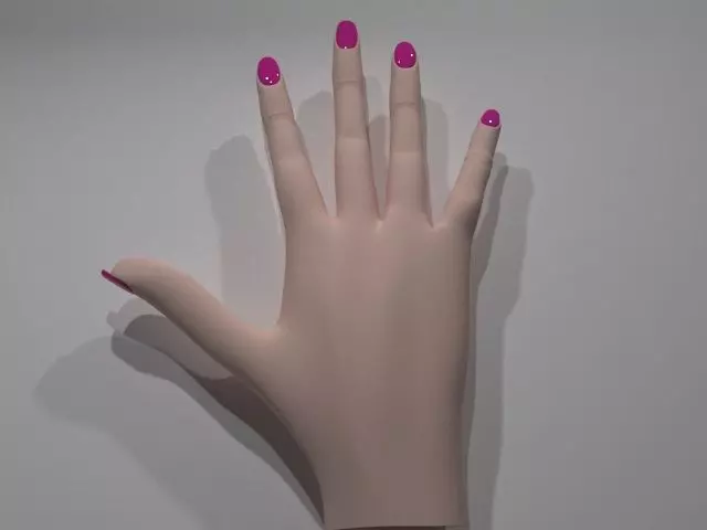 Female Hand Low-poly 3D model_9