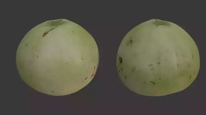  Melon Scan Low-poly 3D model