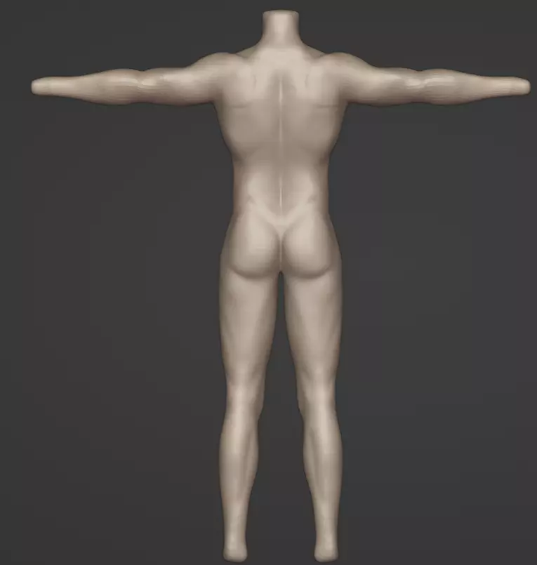 Male Anime Protagonist Base Body 3D model_6