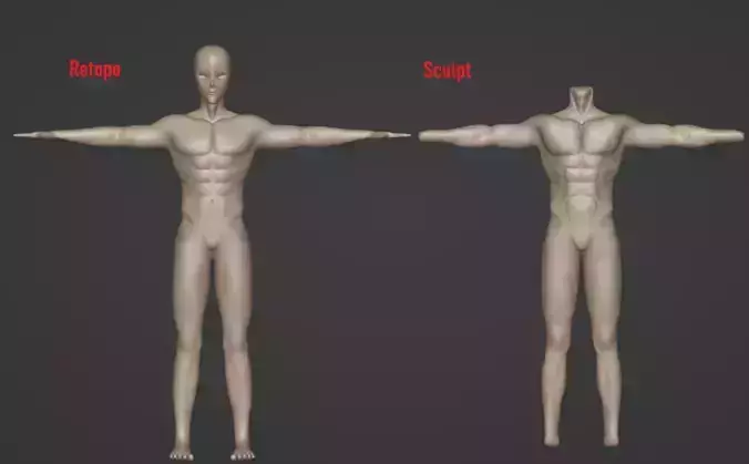 Male Anime Protagonist Base Body