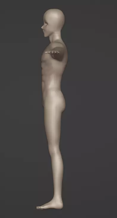 Male Anime Protagonist Base Body 3D model_2