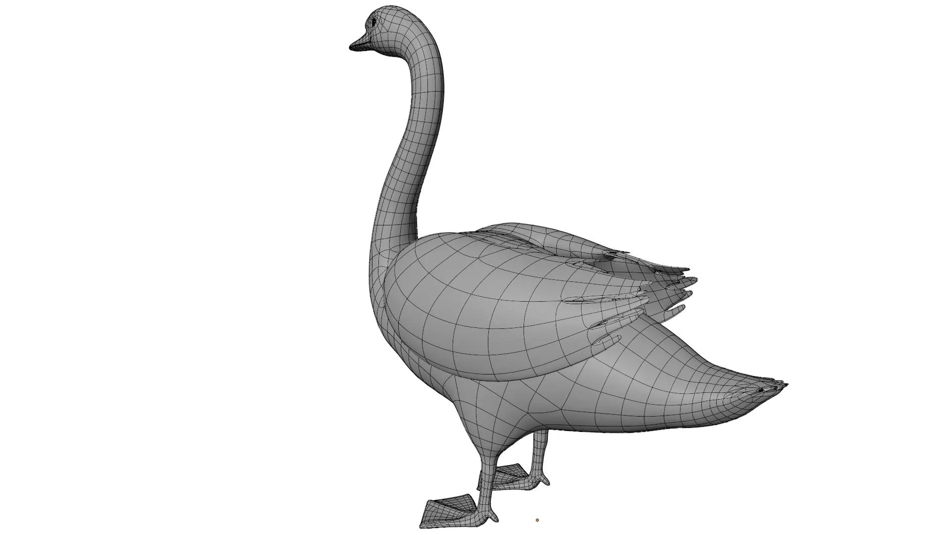 Swan Bird 3D model_11