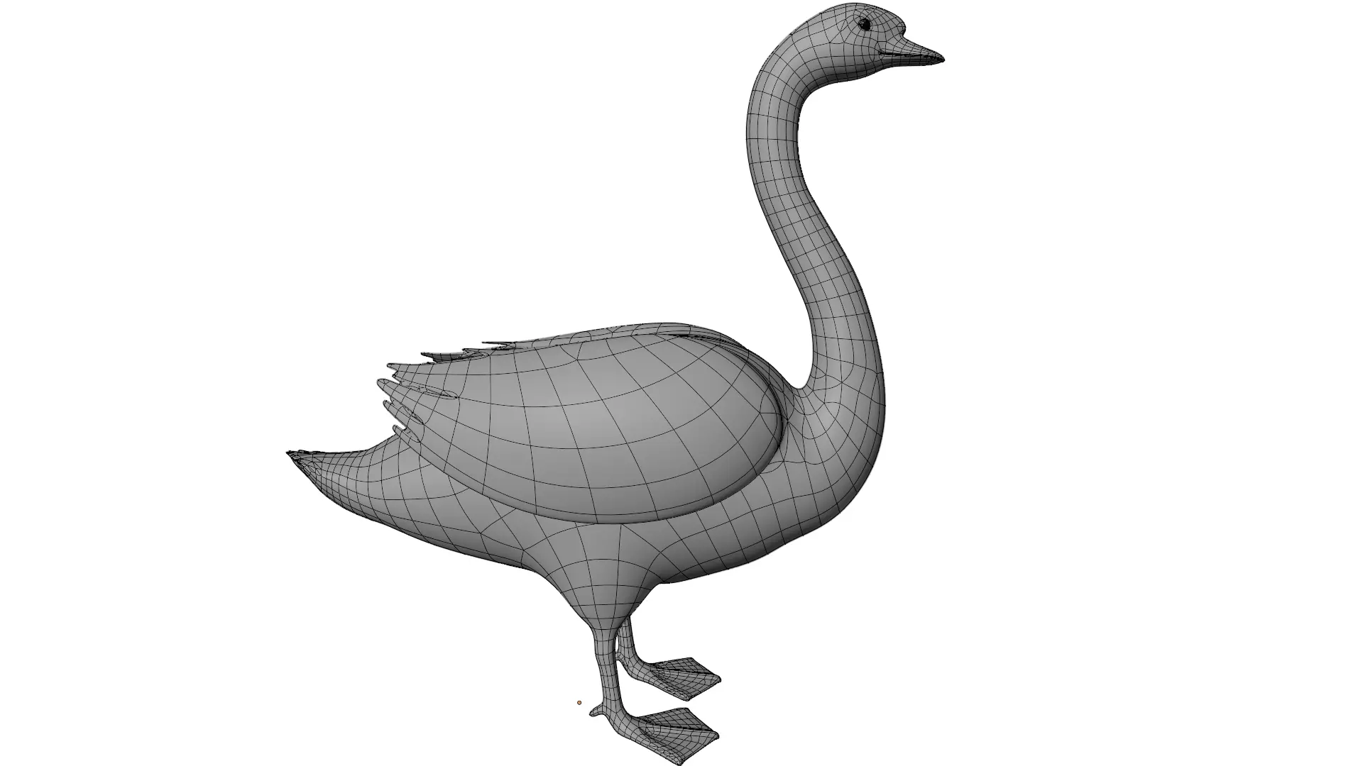 Swan Bird 3D model_14