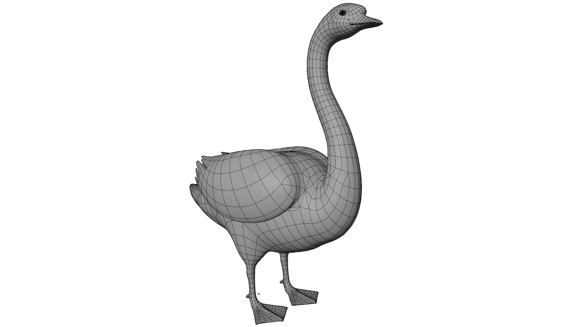Swan Bird 3D model_15