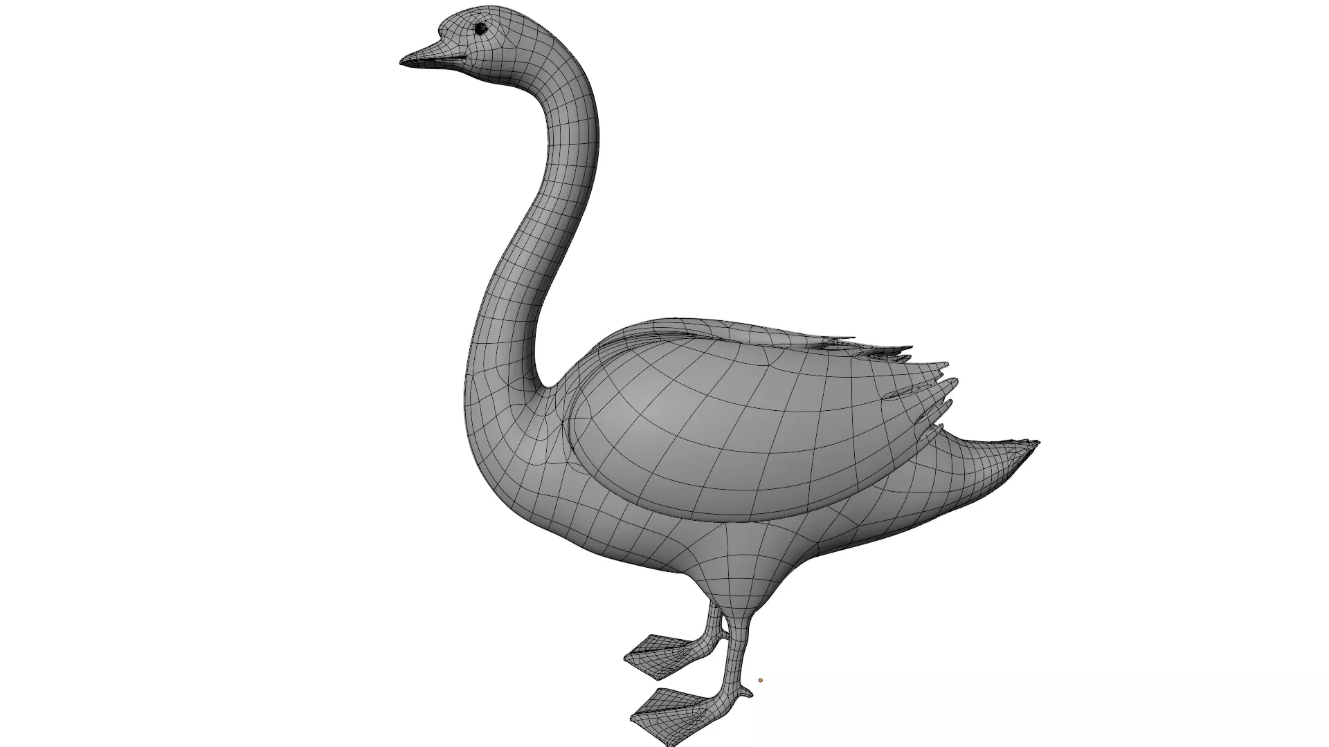 Swan Bird 3D model_10