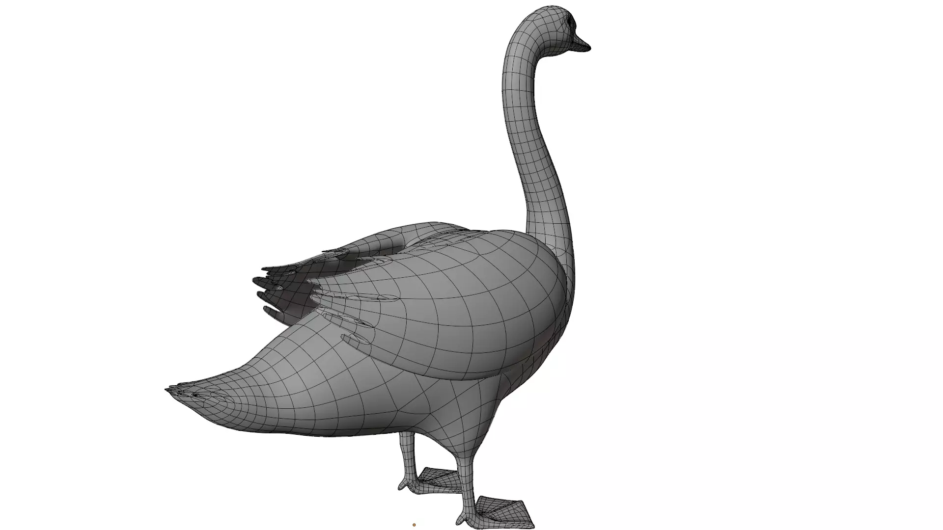 Swan Bird 3D model_13