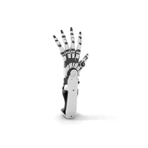 Robotic Hand Model Pack with Articulated Joints