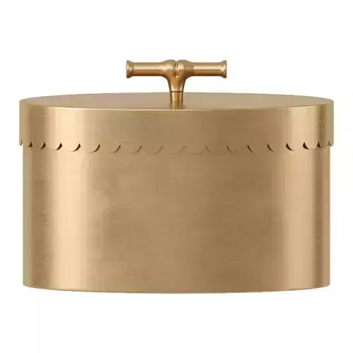 295624 Buttercup Brass Box 3D model