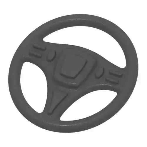 Exquisite Steering Wheel