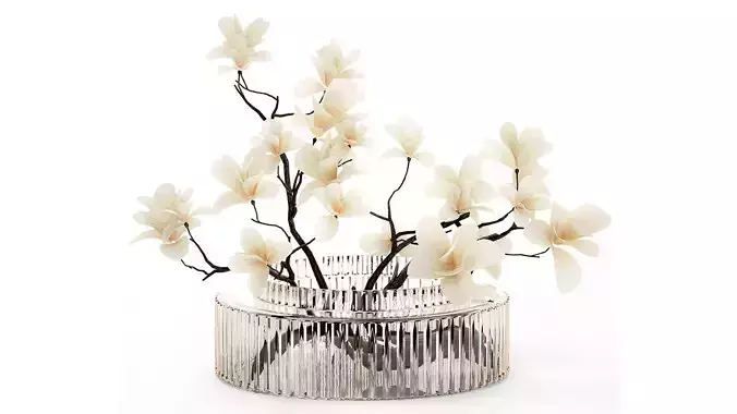 White Flowers From Branches Of Blooming Magnolia 599