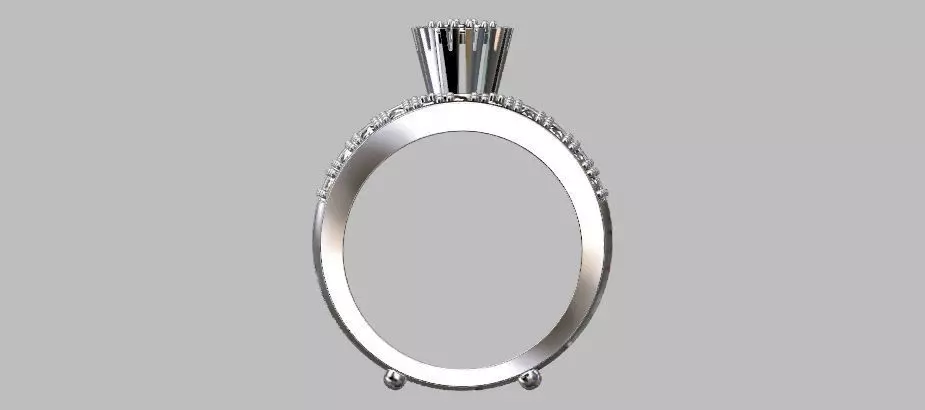 Shower Ring 3D print model_5