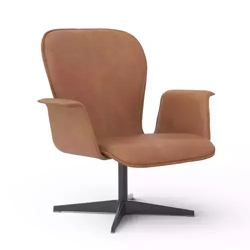 Xarwin Armchair
