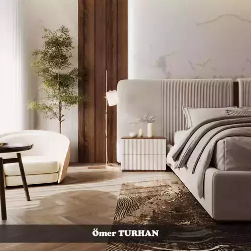 Modern Luxury Villa Interior  Exterior