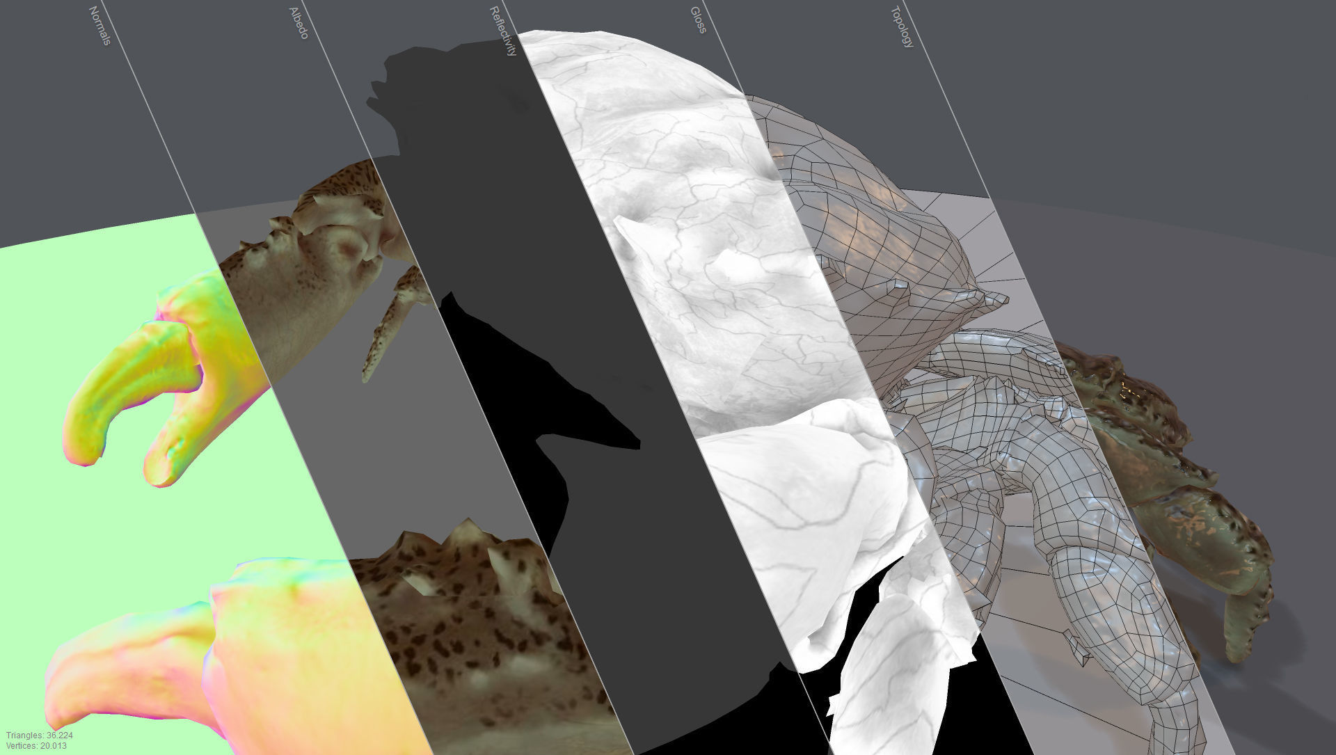 Rigged Crab Alien Crustacean Low-poly 3D model_9