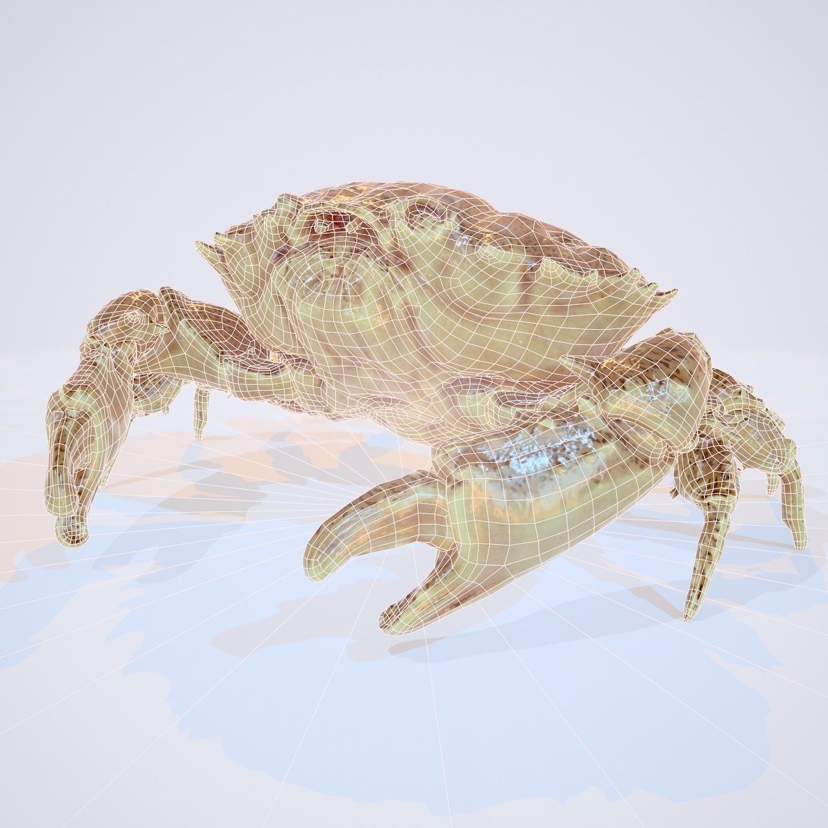 Rigged Crab Alien Crustacean Low-poly 3D model_7