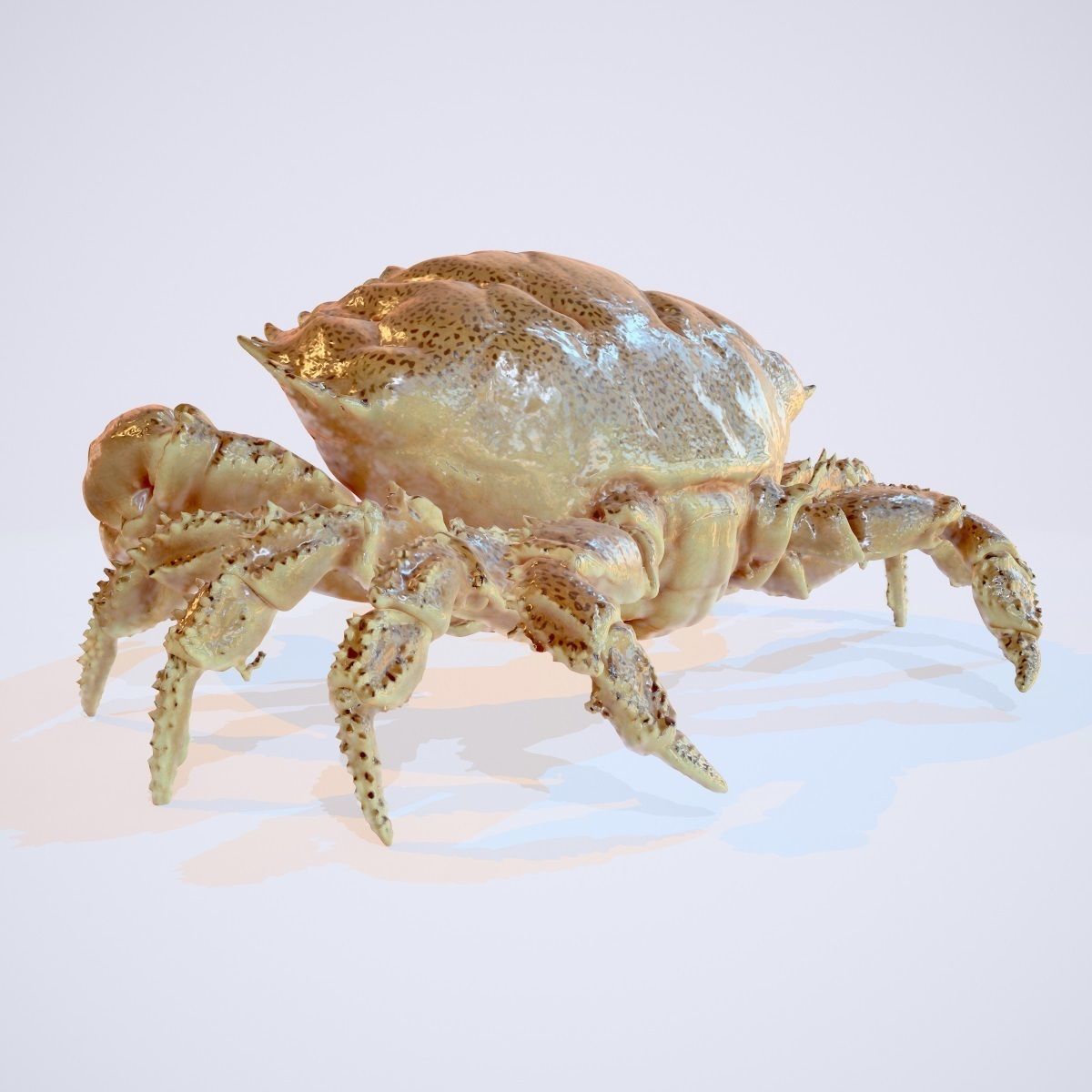 Rigged Crab Alien Crustacean Low-poly 3D model_2