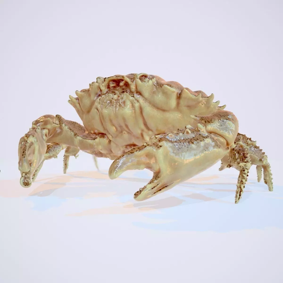 Rigged Crab Alien Crustacean Low-poly 3D model_0