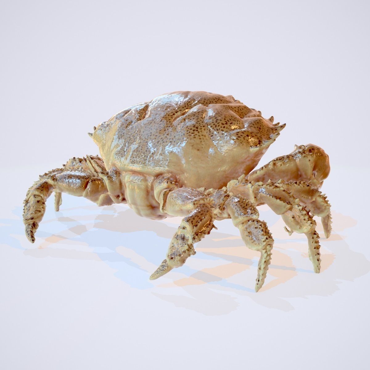 Rigged Crab Alien Crustacean Low-poly 3D model_3