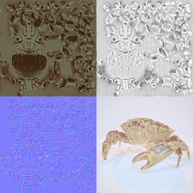 Rigged Crab Alien Crustacean Low-poly 3D model_5