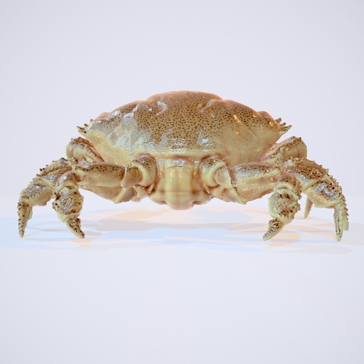 Rigged Crab Alien Crustacean Low-poly 3D model_1