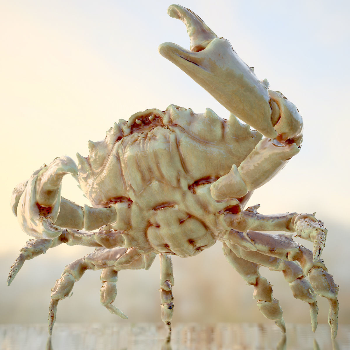 Rigged Crab Alien Crustacean Low-poly 3D model_6