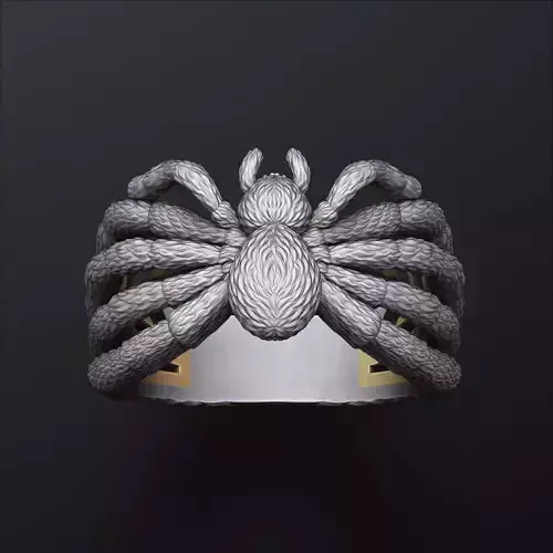Spider Ring v2