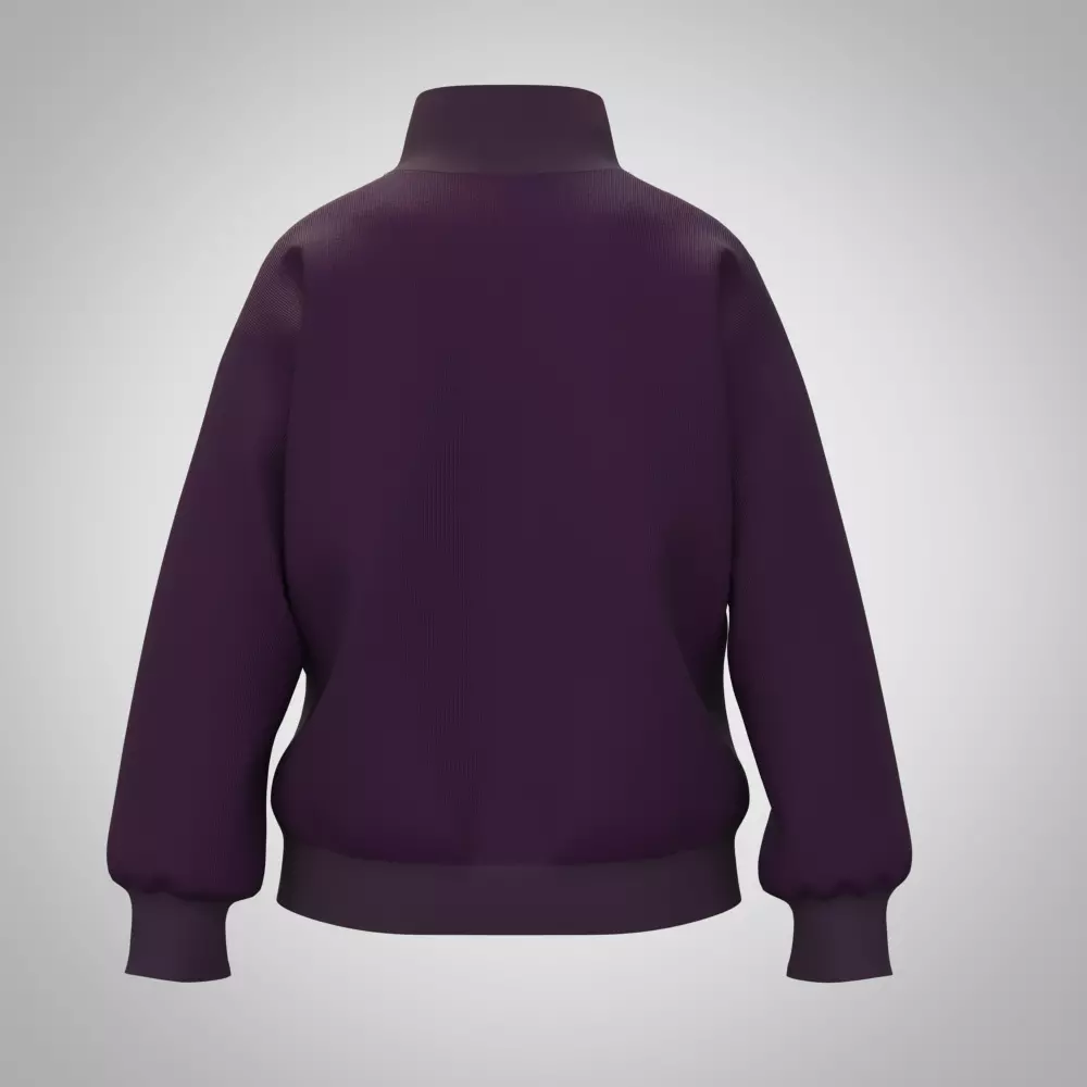 girls sweater rigged model Low-poly 3D model_5