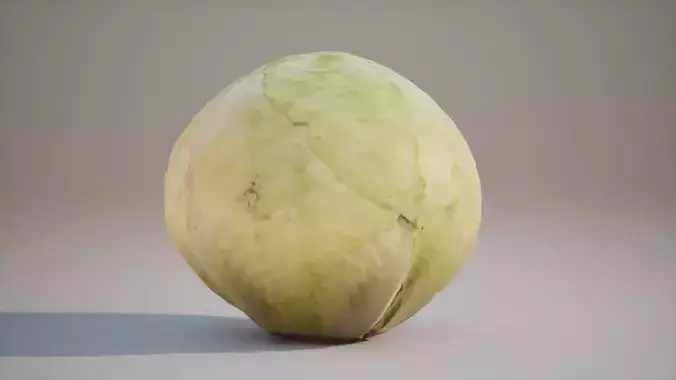 Low Poly 3D Cabbage model Game ready 4K PBR Textures UE Low-poly 3D model 4