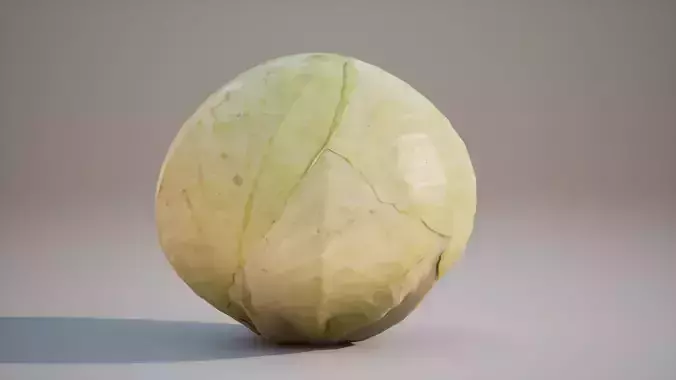 Low Poly 3D Cabbage model Game ready 4K PBR Textures UE Low-poly 3D model 2