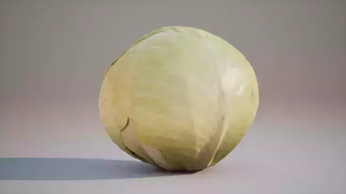 Low Poly 3D Cabbage model Game ready 4K PBR Textures UE Low-poly 3D model 5