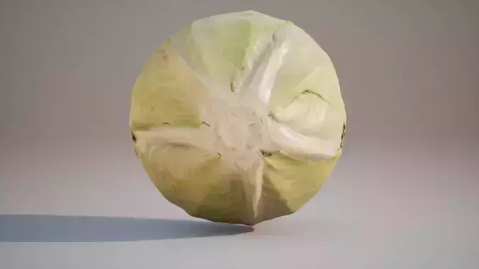 Low Poly 3D Cabbage model Game ready 4K PBR Textures UE Low-poly 3D model 7