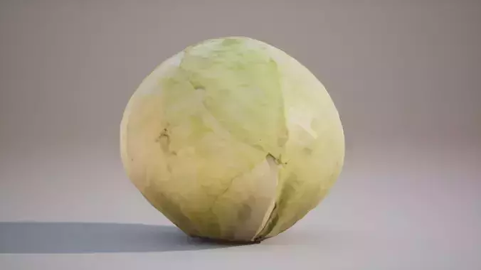 Low Poly 3D Cabbage model Game ready 4K PBR Textures UE