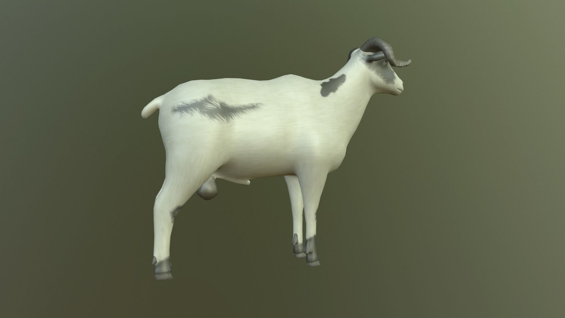 Sheep with long horns 3D model_2