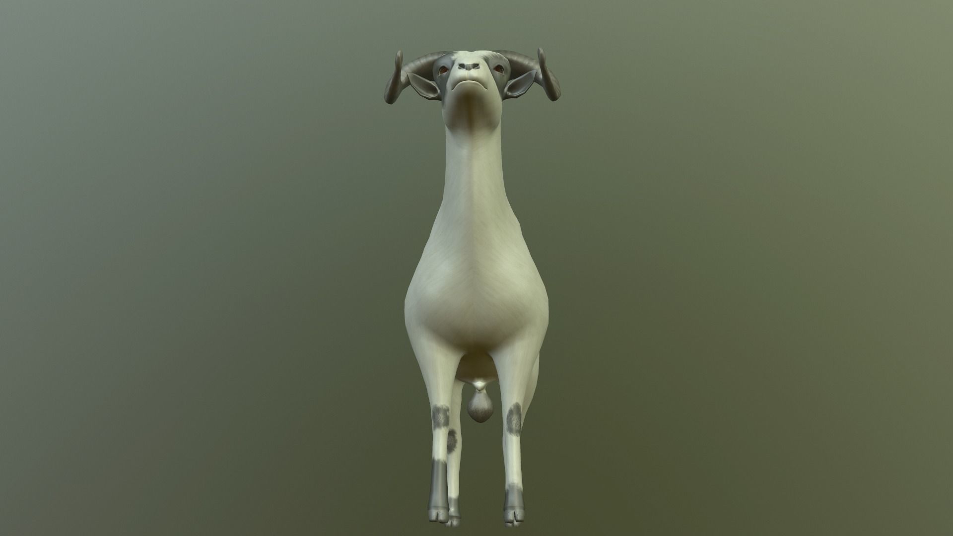 Sheep with long horns 3D model_9