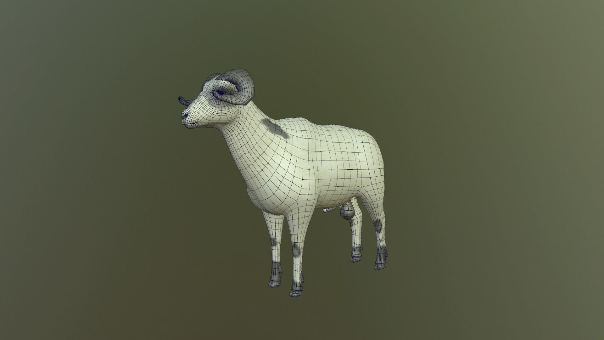 Sheep with long horns 3D model_10