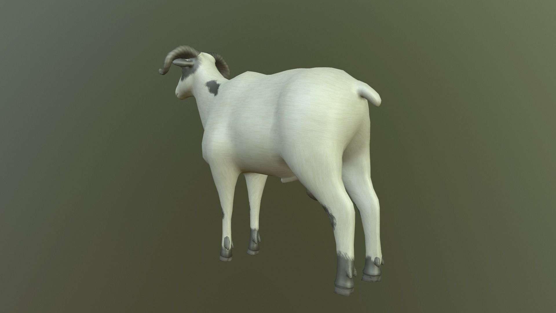 Sheep with long horns 3D model_4