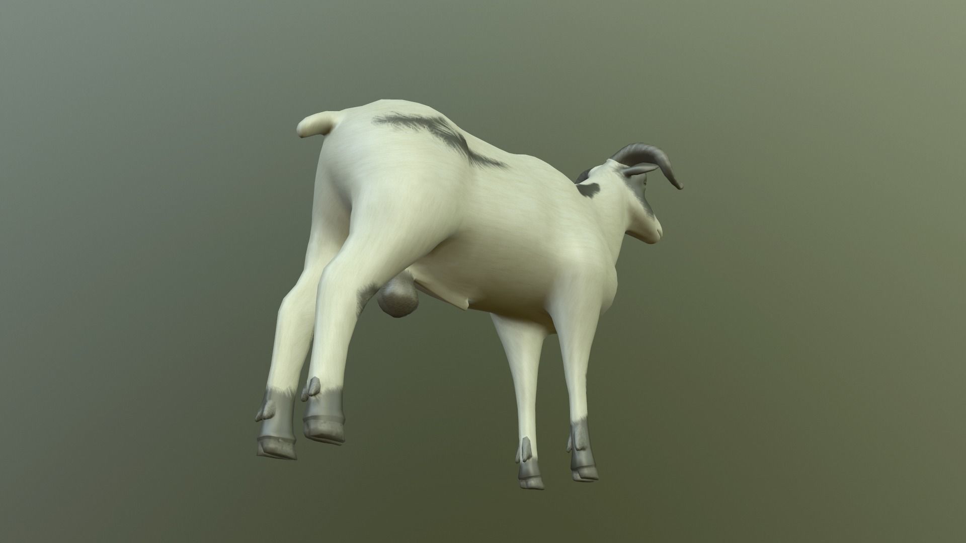 Sheep with long horns 3D model_3