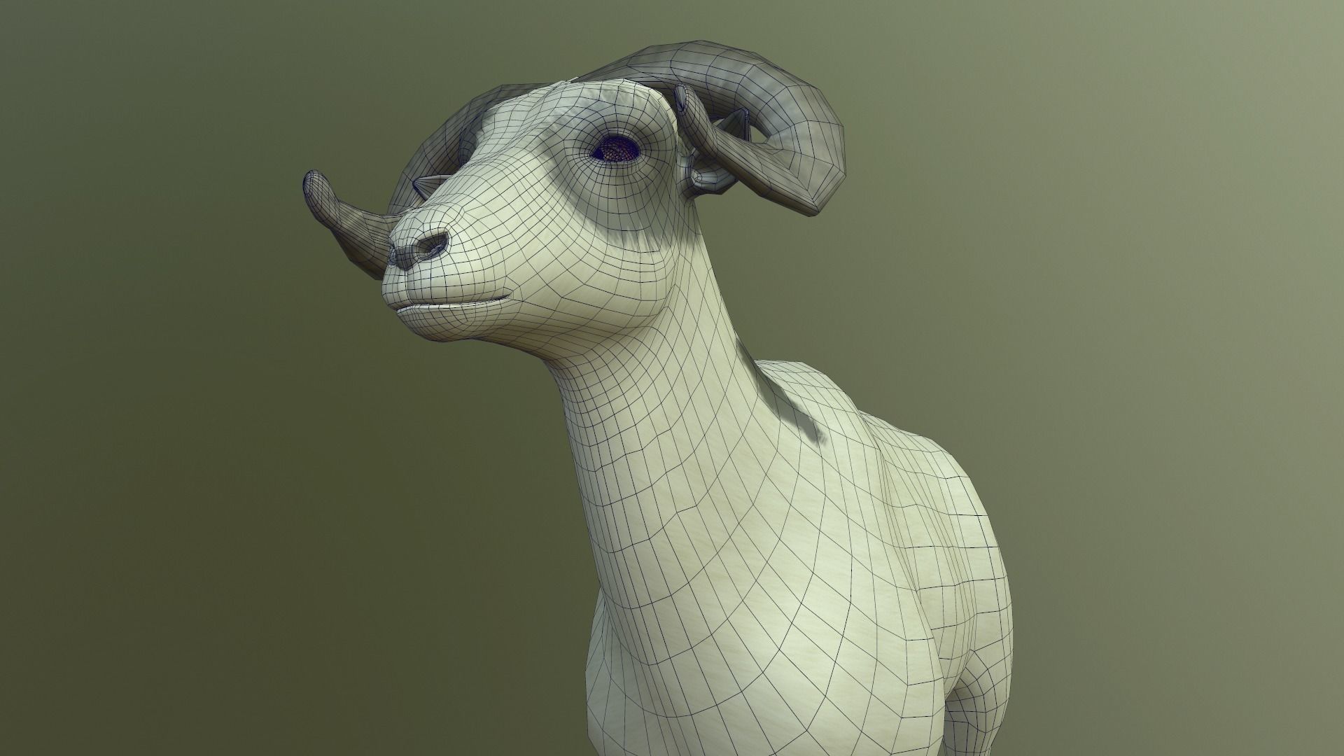 Sheep with long horns 3D model_12