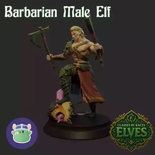 Male BArbarian Elf