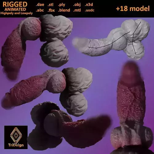 Lucan Dog Fantasy Penis Rigged Low-poly 3D model
