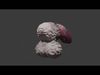 Lucan Dog Fantasy Penis Rigged Low-poly 3D model_1