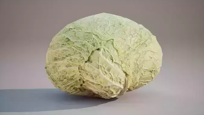 Low Poly 3D Cabbage model Game ready  5K triangles 4K PBR 