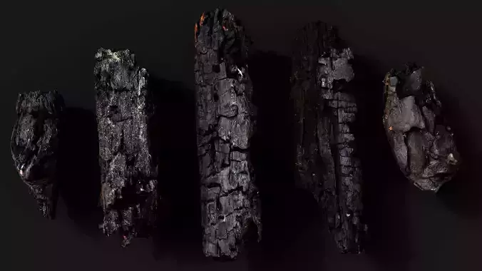 wood debris burned chunks detail PBR photogrammetry