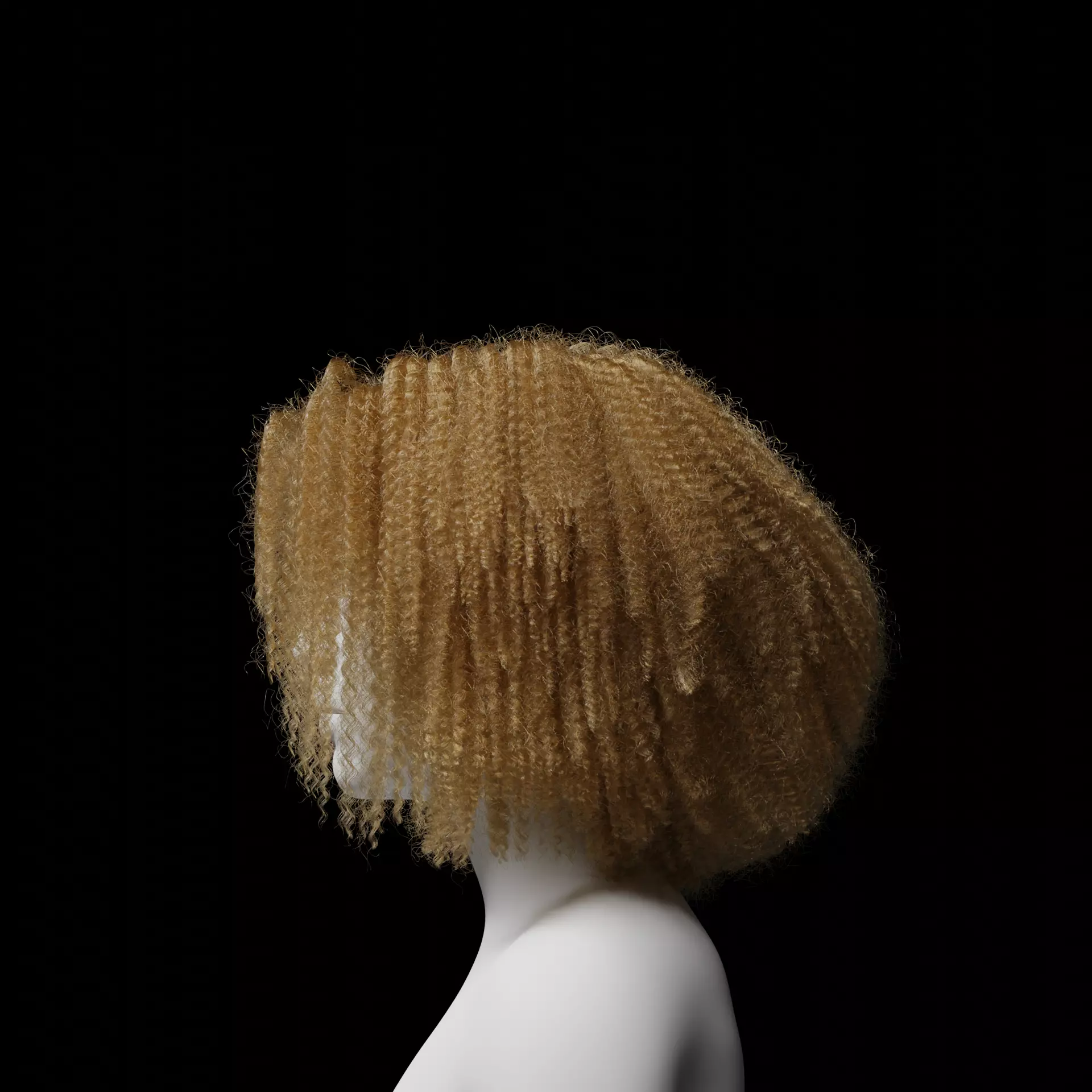 Middle Part Curls 3D model_24