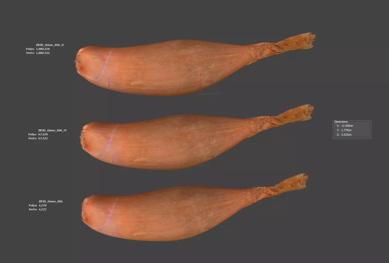 Onion 3D model_5