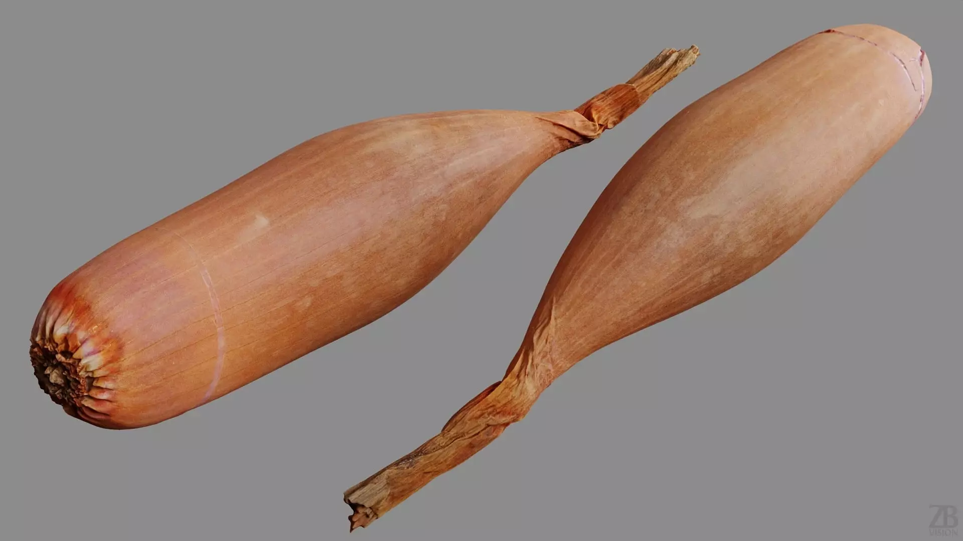 Onion 3D model_8