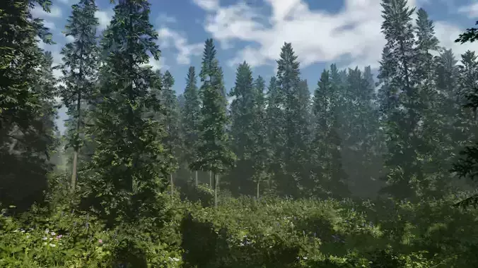 ROBLOX Realistic Norway Spruce Tree Pack