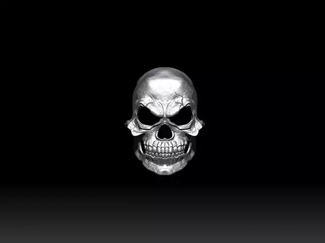 Skull Mask 3D print model